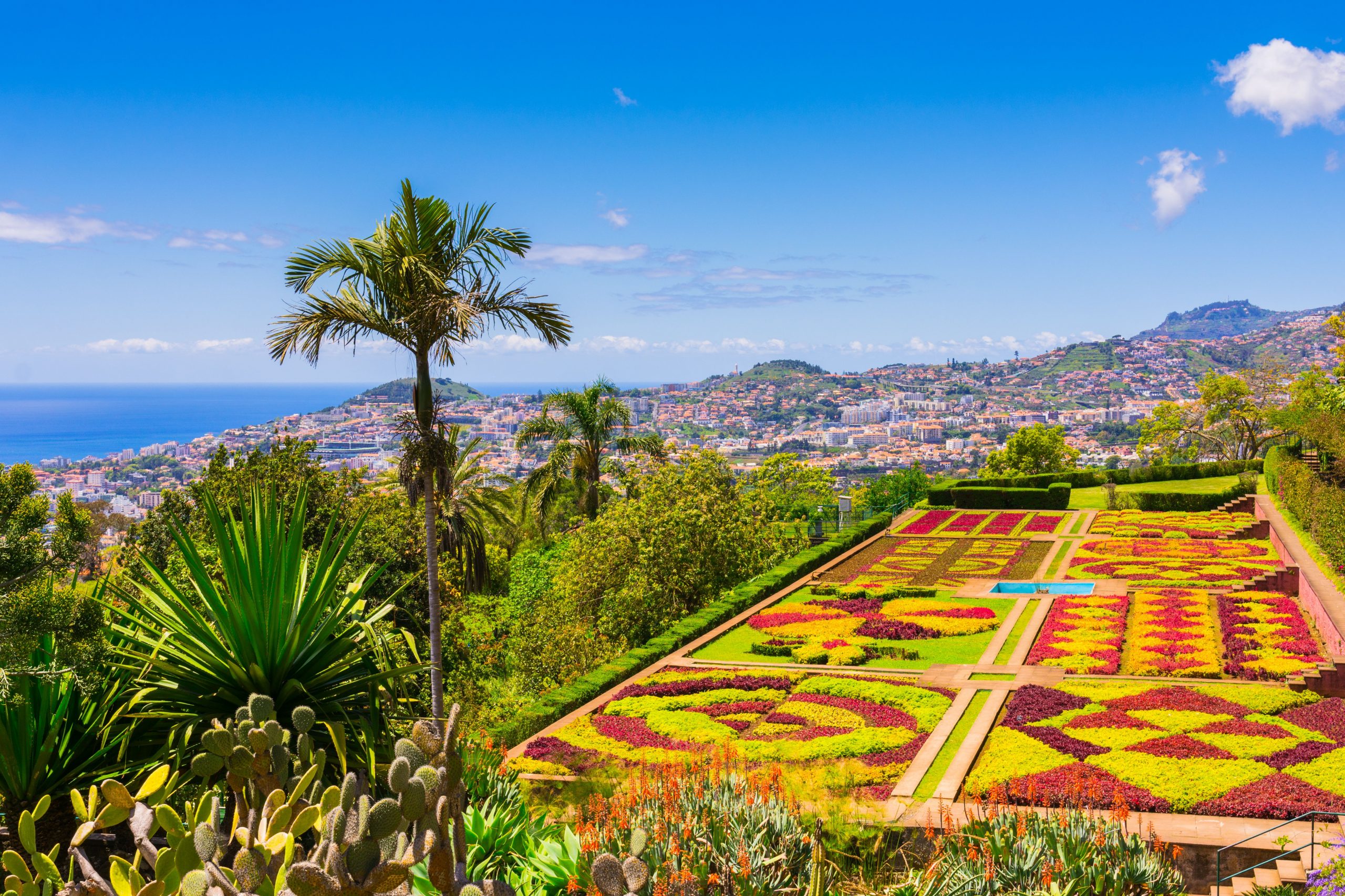 Madeira - nasmeh večne pomladi 6 dni (hotel 4*) - čarter iz Ljubljane
