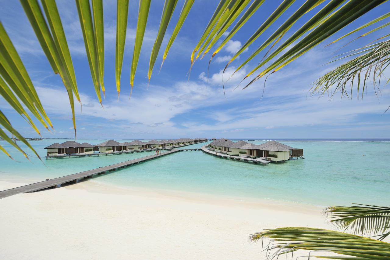 Maldivi - Paradise Island Resort & Spa