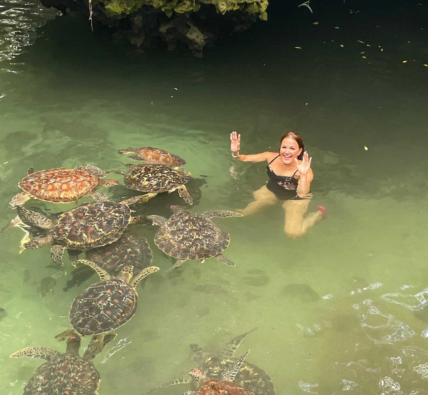Rebeka Dremelj plava z želvami
