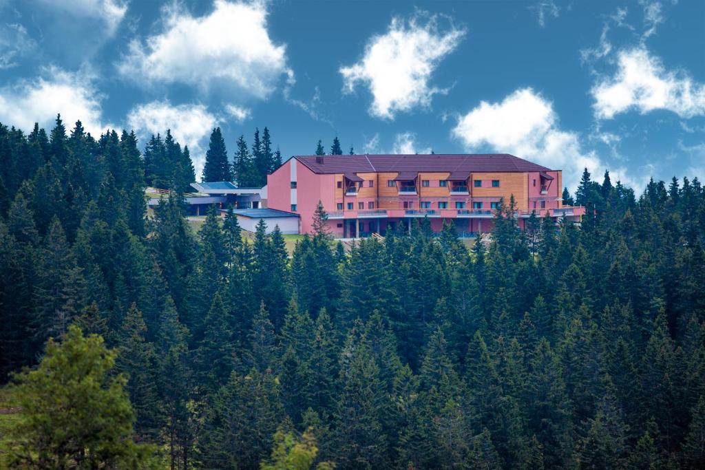 Hotel NATURA, Rogla - Gorsko razvajanje v dvoje