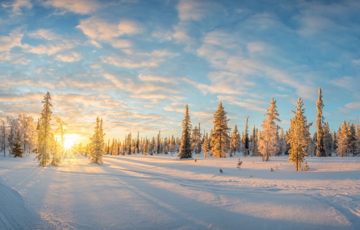 Potovanje v Božičkovo vas: pravljična pustolovščina na Laponskem